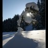 20050226_Oberegg_186